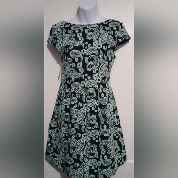 🌺BUNDLE ONLY🌺 Honey Punch Black and Mint Paisley Mini Dress - Picture 1 of 7